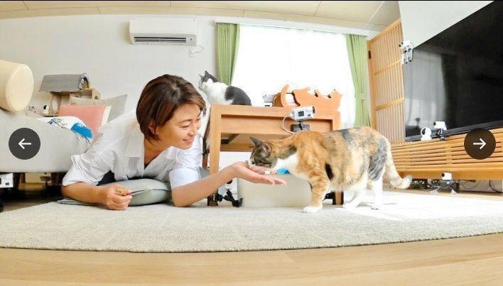 日本テレビ「嗚呼！！みんなの動物園」Ｘ（ツイッター）＠ｍｉｎｎａｎｏ＿ｚｏｏ＿ｎｔｖ
