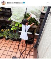 家庭菜園で。和田正人のインスタグラム＠ｄａａａａａａｗａａａａａａ（６月２５日付）より