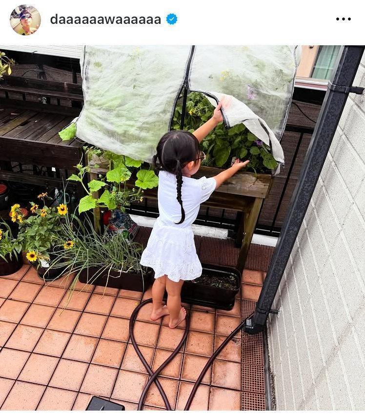 家庭菜園で。和田正人のインスタグラム＠ｄａａａａａａｗａａａａａａ（６月２５日付）より