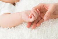 ※写真はイメージです（buritora／stock.adobe.com）