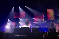日本武道館でラストライブを開催したＴ-ＢＯＬＡＮ