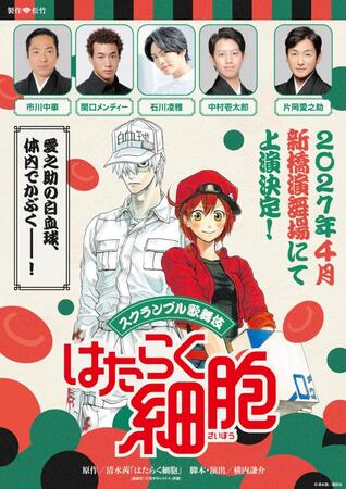 スクランブル歌舞伎「はたらく細胞」速報チラシ
