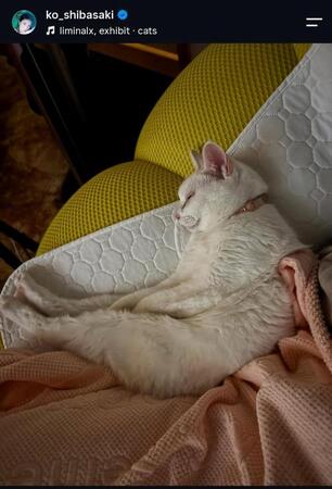柴咲コウのインスタグラム＠ｋｏ＿ｓｈｉｂａｓａｋｉから