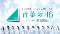 青葉坂４６のオーディション告知ⓒ乃木坂４６ＬＬＣ／Ｓｅｅｄ＆ＦｌｏｗｅｒＬＬＣ