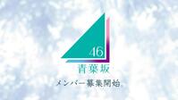青葉坂４６ⓒ乃木坂４６ＬＬＣ／Ｓｅｅｄ＆ＦｌｏｗｅｒＬＬＣ　