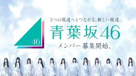 青葉坂４６のオーディション告知ⓒ乃木坂４６ＬＬＣ／Ｓｅｅｄ＆ＦｌｏｗｅｒＬＬＣ