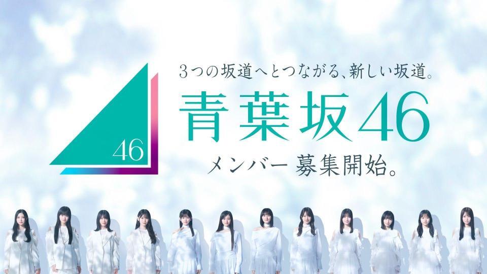 青葉坂４６のオーディション告知ⓒ乃木坂４６ＬＬＣ／Ｓｅｅｄ＆ＦｌｏｗｅｒＬＬＣ