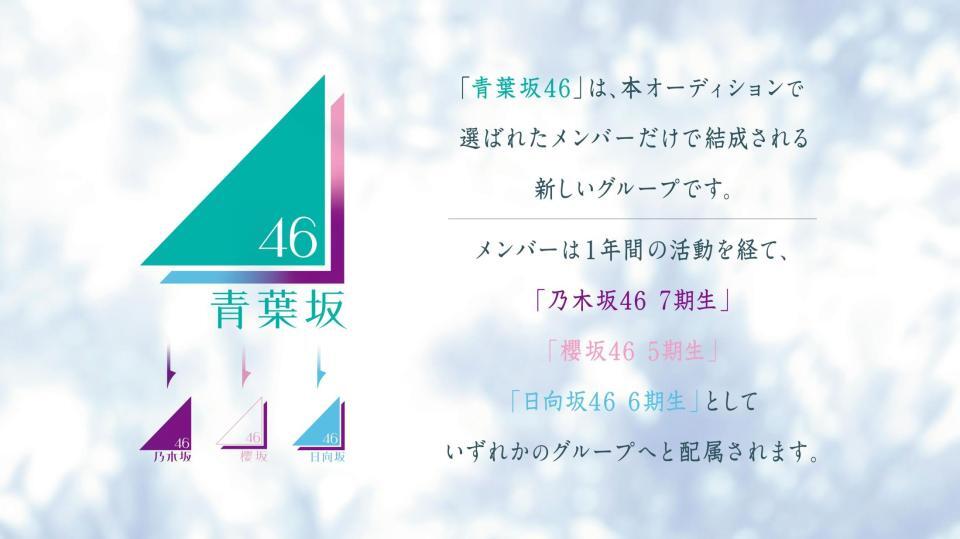 青葉坂４６オーディション告知ⓒ乃木坂４６ＬＬＣ／Ｓｅｅｄ＆ＦｌｏｗｅｒＬＬＣ　