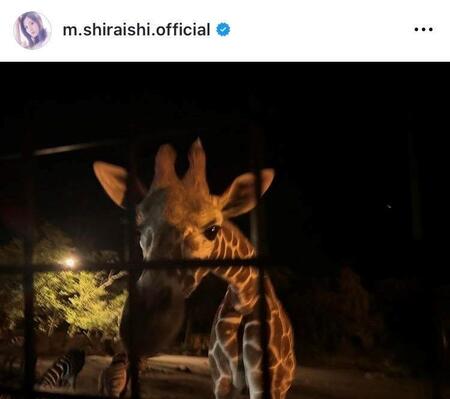 白石麻衣のインスタグラム＠ｍ．ｓｈｉｒａｉｓｈｉ．ｏｆｆｉｃｉａｌから