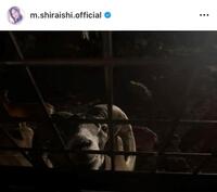 白石麻衣のインスタグラム＠ｍ．ｓｈｉｒａｉｓｈｉ．ｏｆｆｉｃｉａｌから