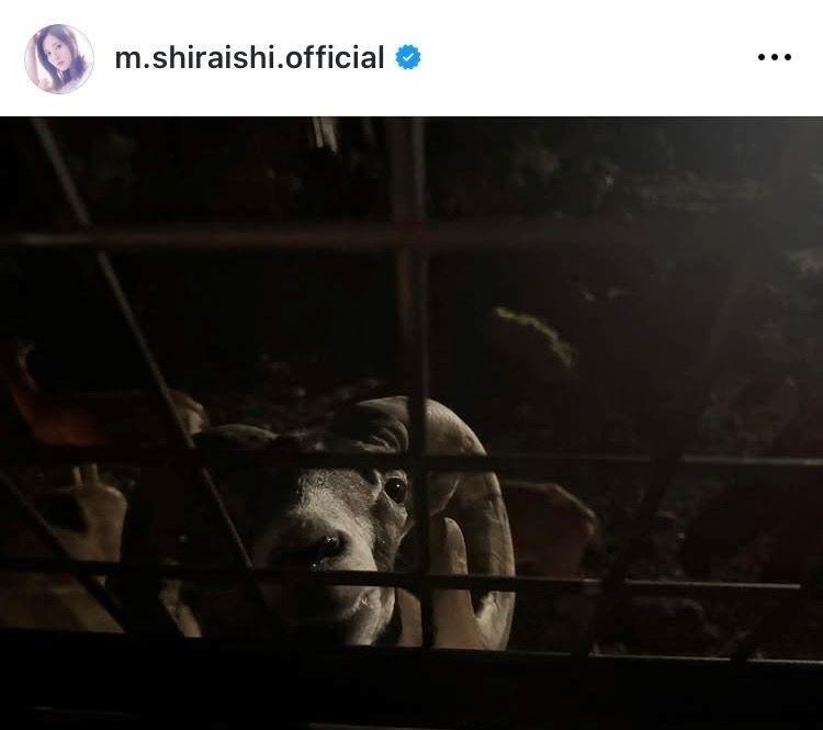 白石麻衣のインスタグラム＠ｍ．ｓｈｉｒａｉｓｈｉ．ｏｆｆｉｃｉａｌから