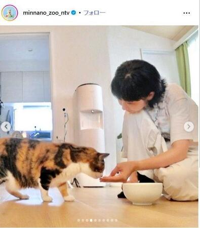 日本テレビ「嗚呼！！みんなの動物園」インスタグラム＠ｍｉｎｎａｎｏ＿ｚｏｏ＿ｎｔｖ