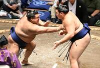 大の里（右）を攻める高安