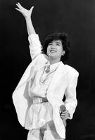 堀ちえみ（１９８６年）