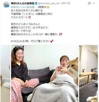 日本テレビ「嗚呼！！みんなの動物園」Ｘ（ツイッター）＠ｍｉｎｎａｎｏ＿ｚｏｏ＿ｎｔｖ