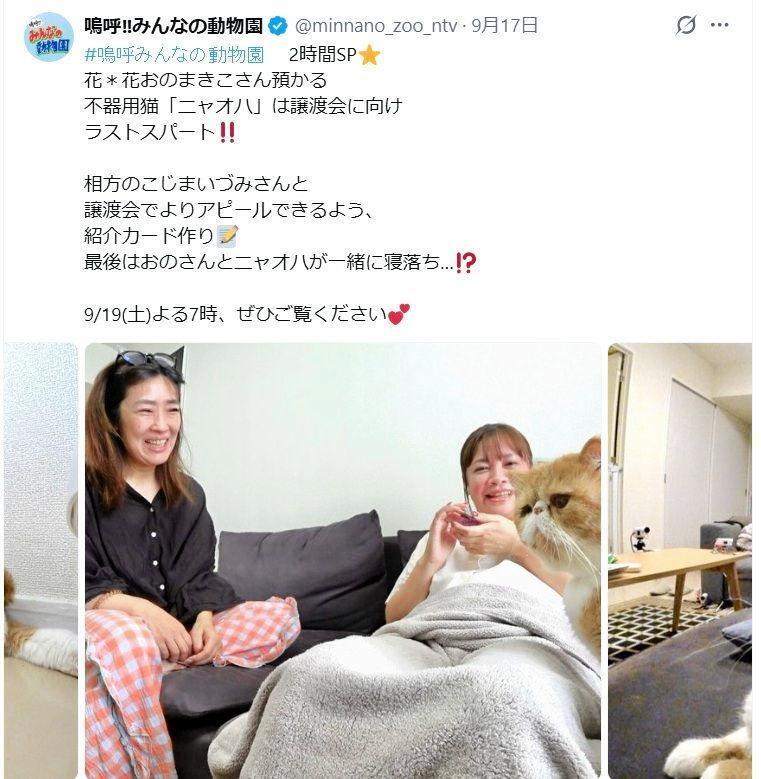 日本テレビ「嗚呼！！みんなの動物園」Ｘ（ツイッター）＠ｍｉｎｎａｎｏ＿ｚｏｏ＿ｎｔｖ