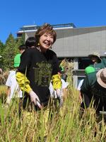 東農大の稲刈り式に参加した小林幸子