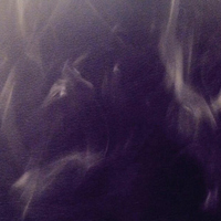 プリンスがツイートした「自分撮り」写真