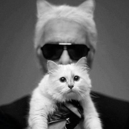 カール・ラガーフェルドの愛猫、昨年3億5000万円超を稼いでいた