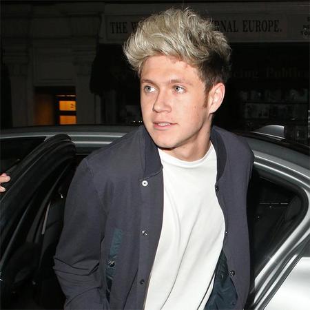 新恋人の存在が報じられたワン・ダイレクションのナイル・ホーラン