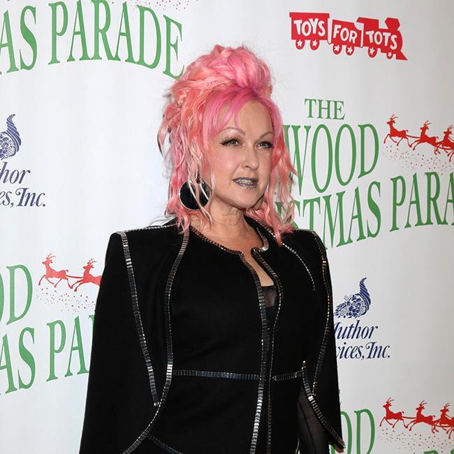 シンディ ローパー 食用色素で髪を染めた 海外スターバックナンバー 芸能 デイリースポーツ Online