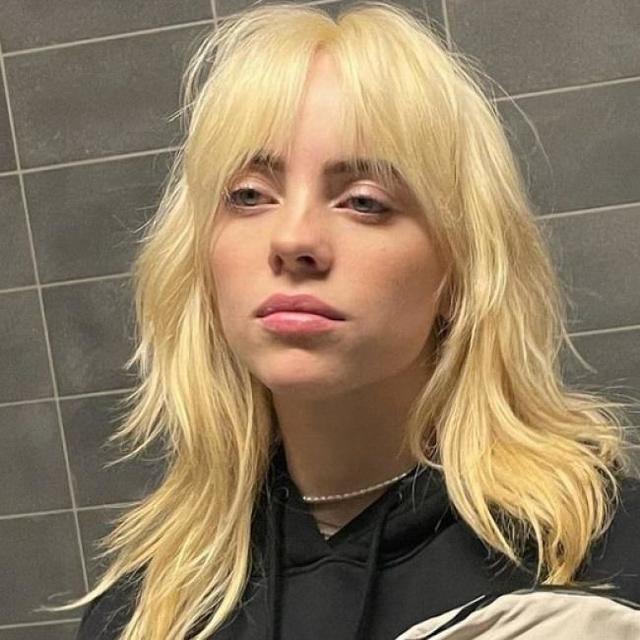 えっ 誰 ビリー アイリッシュ 今度はプラチナブロンドに大胆イメチェンでまるで別人 海外スターバックナンバー 芸能 デイリースポーツ Online