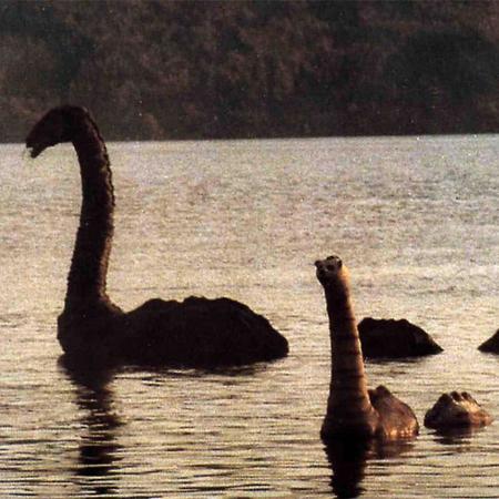 ネッシー　ネス湖以外の湖水地方の湖で目撃　水鳥を襲う？