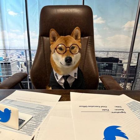 　イーロン・マスクの愛犬がツイッターのＣＥＯ？