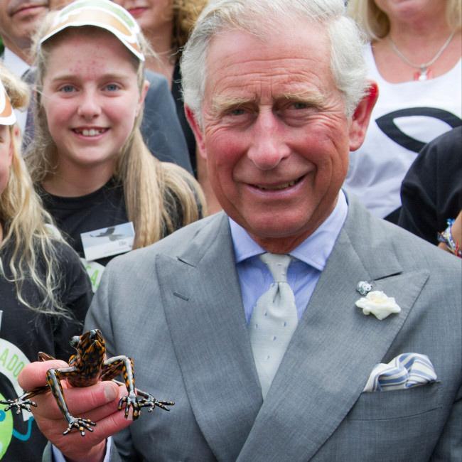 チャールズ国王 異例の前立腺肥大治療発表は「男性に検査奨励」のため 自ら公表に積極的/海外スターバックナンバー/芸能/デイリースポーツ online