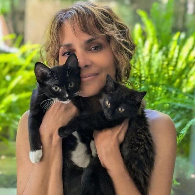 美貌女優 『キャットウーマン』のおかげで猫好きに 「生涯犬派」と自認