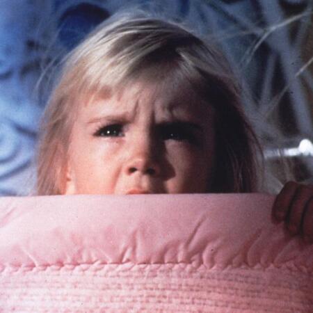 　映画「ポルターガイスト」