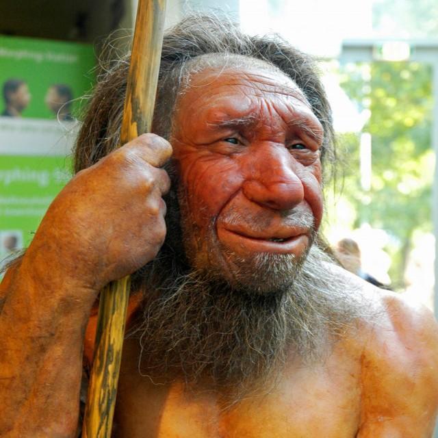 初期人類が人食いだった可能性があるという