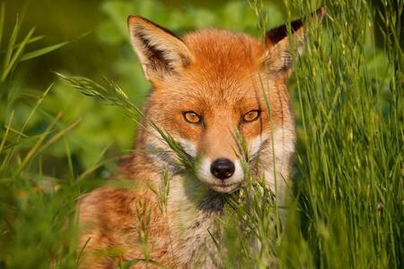 画像はイメージです（bridgephotography／stock.adobe.com）