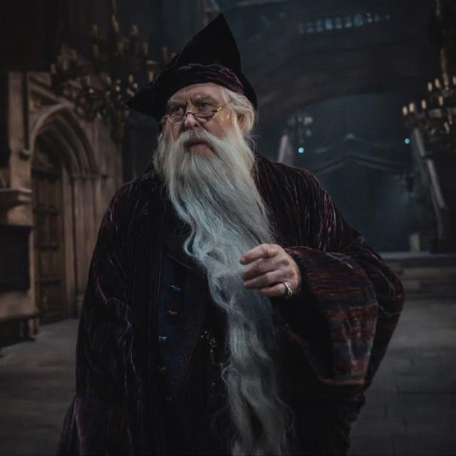 アルバス・ダンブルドアを演じるジョン・リスゴー