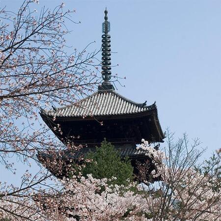 日本※画像はイメージ