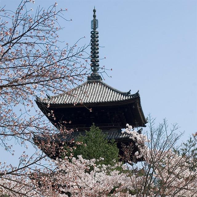 日本※画像はイメージ