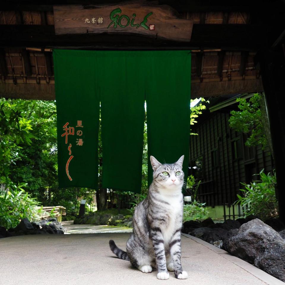 旅館入口の山門にてくつろぐビビ