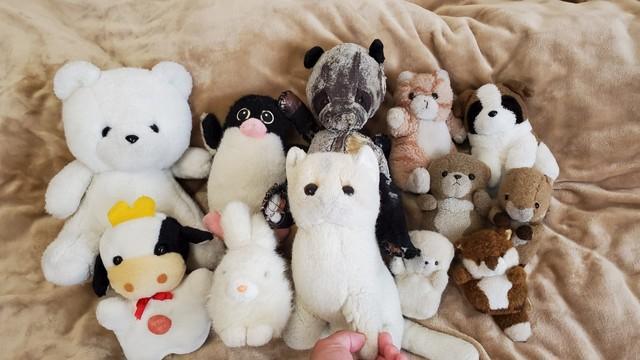 子どもの頃に一緒だったというメンバー（後列中央が「ぱんちゃん」）＝提供写真