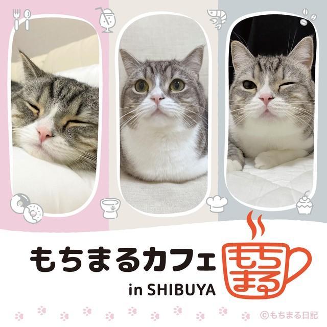 「もちまるカフェin SHIBUYA」バナー