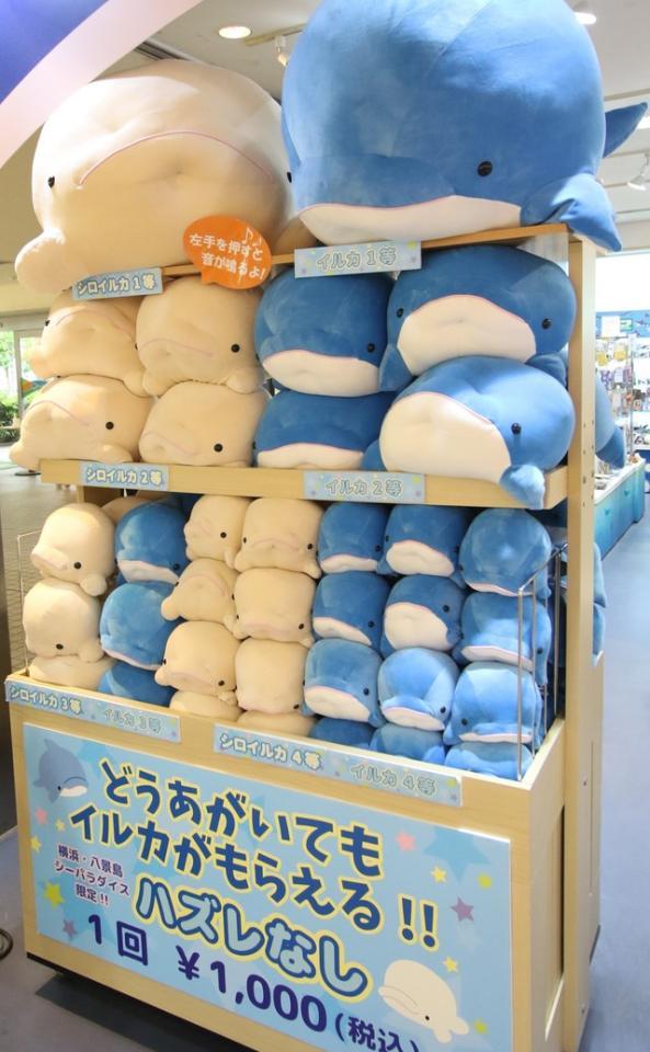どうあがいてもイルカがもらえる!!」パワーワードが光る”確定