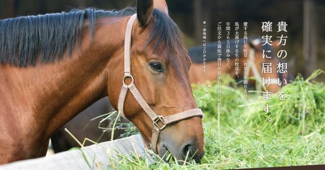 引退馬を支援する「生牧草バンク」が始動する