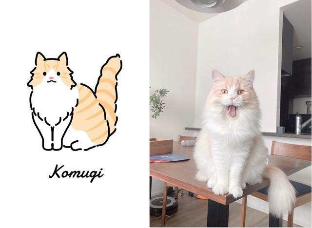 山本代表の飼い猫「こむぎちゃん」（右）をイラスト化するとこうなる