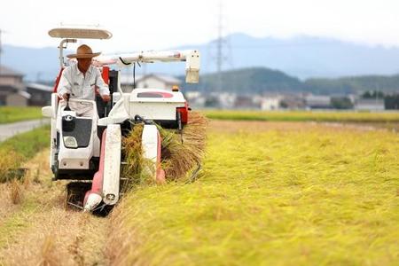 農家なんかゼッタイ無理ぃ 若い女性たちが作業するおじいさんを見て発した言葉 Sｎs上で話題に サブカル系 芸能 デイリースポーツ Online