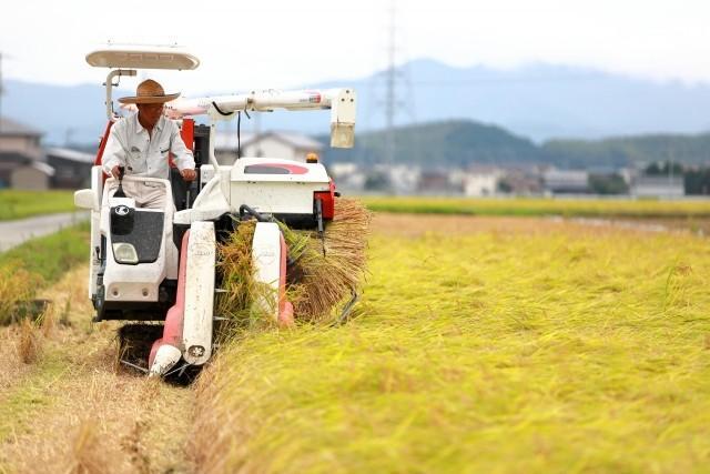 農家なんかゼッタイ無理ぃ 若い女性たちが作業するおじいさんを見て発した言葉 Sｎs上で話題に サブカル系 芸能 デイリースポーツ Online