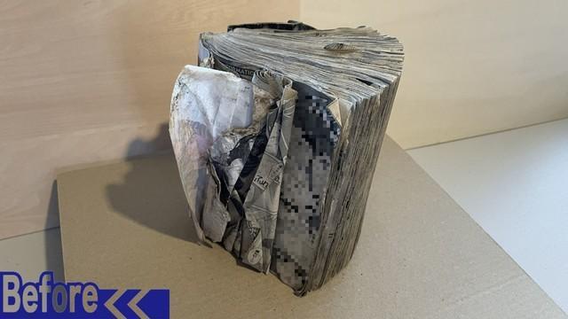 （シュゴウさん提供）