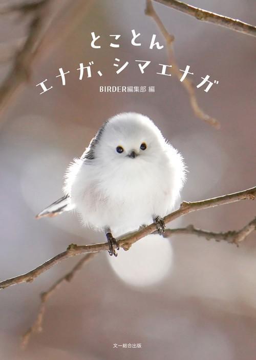 人気急上昇中の小鳥“雪の妖精”シマエナガの特集本発売「もっと好きになる」 サブカル系 芸能 デイリースポーツ Online