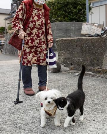沖昌之さんが熊本・湯島で撮影した新作、ワンコに顔をこすりつけるニャンコ