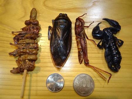 コオロギ以外にも、さまざまな昆虫が食用として販売されている。(左から)バッタと蚕の串刺し、タガメ、イナゴ、サソリ＝都内