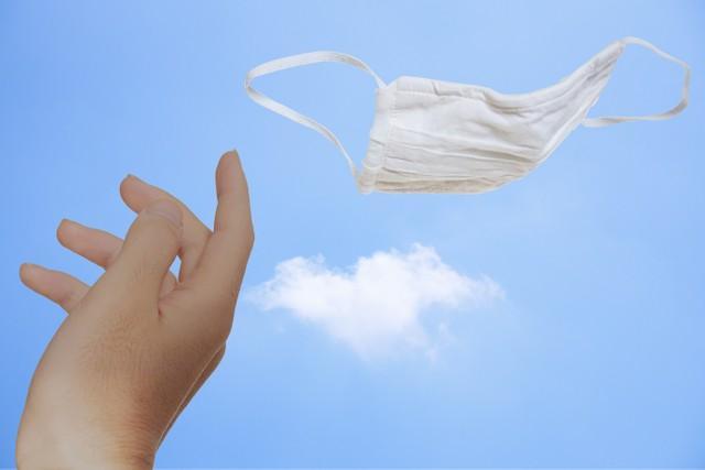 画像はイメージです（komta／stock.adobe.com）