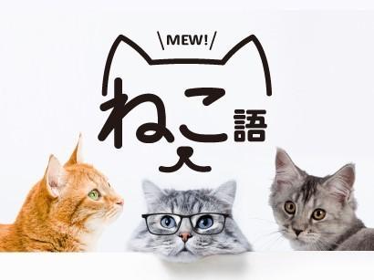 ＥＣＣ外語学院「ねこ語コース」ティザー画像
